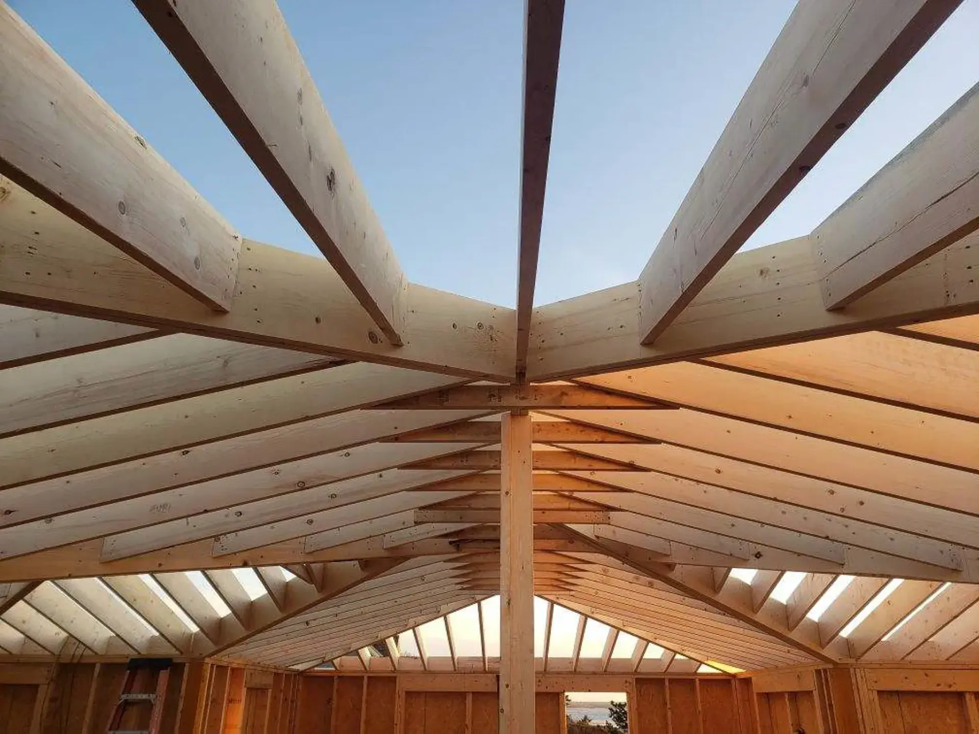 Exposed timber roof framing with radial rafters and skylight by Tuleika Building Company